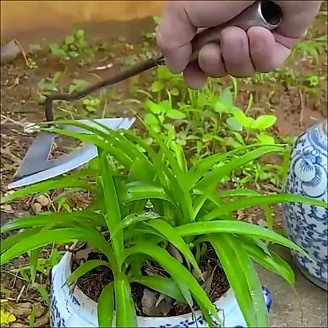 Garden Hoe - All-Steel Hardened Hollow Hoe for Long Handle, Garden Weeding Tools, Easy Weeding and Soil Loosening, Hoe Garden Tool, Durable and effectable Hand Tools, Multi, 11.81x6.30(30x16cm)