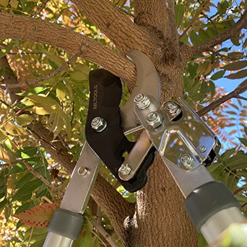 Ratcheting Extendable Bypass Lopper for Gardening - Heavy Duty Ratchet Lopper 39½" Extendable Long Handle – Chops Through 1-3/4” thick Branches – Ideal for All Gardening Enthusiasts - L8230
