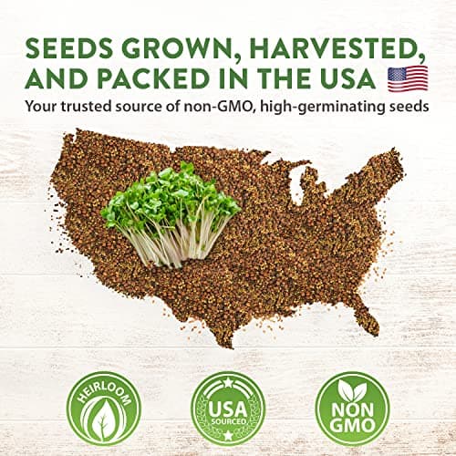 HOME GROWN Microgreens & Sprouts Salad Seeds Mix – 16oz Resealable Mylar Pack – Broccoli, Alfalfa, Radish, Clover – Heirloom 𝗡𝗢𝗡-𝗚𝗠𝗢 Seeds for Healthy Indoor Growing & Juicing