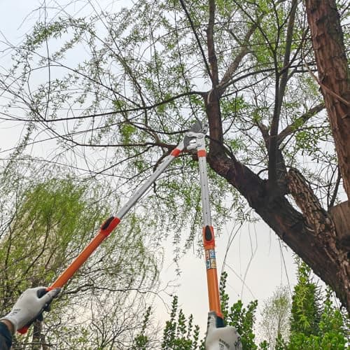 Lopper for Tree Trimming, 27-41'' Extendable Garden Lopper with Compound Action, Heavy Duty Branch Cutter for Trees, Orange