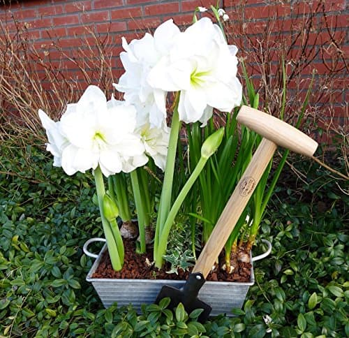DeWit Perennial Spade with Short Handle, Lightweight Garden Tool