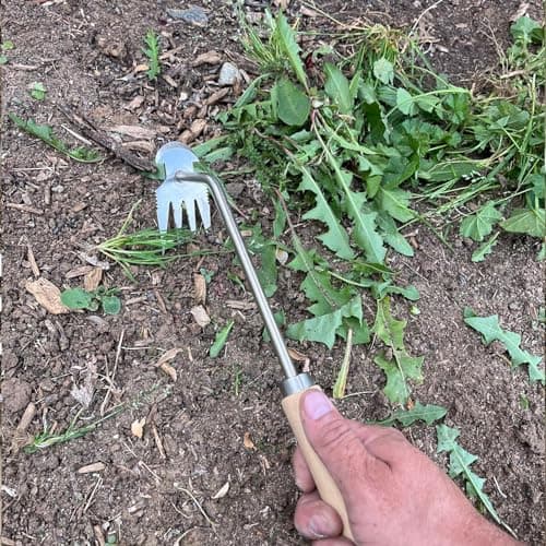 Weeding Artifact Uprooting Weeding Tool, Garden Weeding Tools Hand Weeder Tool, Stainless Steel Weed Puller 4 Teethes Dual Purpose Weeder, Multifunctional Weeder Manual Weed Remover Tool (Wood-12inch)