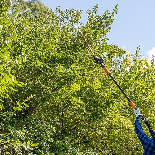 Scotts CLPS40020S 20-Volt 2-in-1 Cordless Covertible Pole Saw/Pole Hedge Trimmer, 2.0Ah Battery and Fast Charger Included
