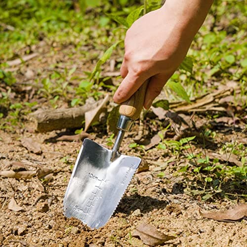Garden Serrated Planting Trowel, Multifunctional Shovel with ash Wood and Stainless Steel Digging Trowel Transplanter