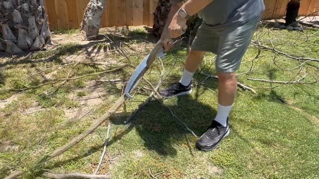 26FT Reach Pole Saws for Tree Trimming, Manual Pruning Pole Saw with 5-20FT Telescoping Extension Pole, Tree Pruner Tree Trimmer with 19" 3X Detachable Saw for Yard Garden Trees Palms Shrubs
