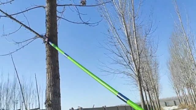 7-27 Feet Extendable Pole Saw for Tree Trimming – Manual Branch Trimmer with Long Handle, Storage Bag, and Green Design – Perfect for Pruning and Cutting High Branches.