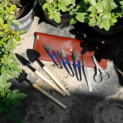 Bonsai Set 8 Pcs - Include Pruner,Fold Scissors,Mini Rake,Bud & Leaf Trimmer Set by ZELAR Made