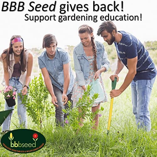 Drought Resistant Wildflower Seeds - 1oz, Open-Pollinated Bulk Flower Seed Mix for Beautiful Perennial, Annual Garden Flowers - No Fillers - 1 oz Packet