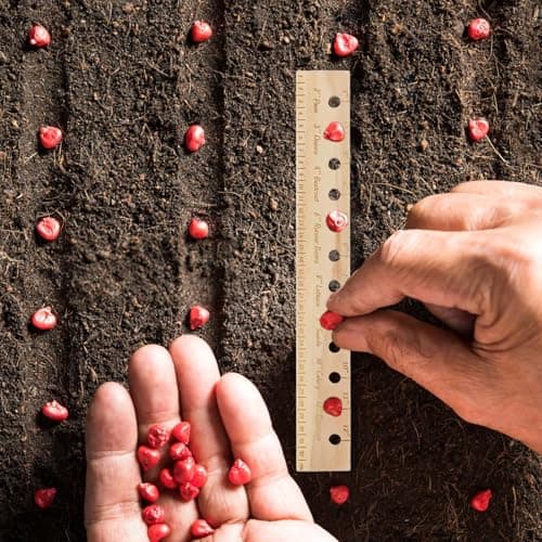 Wooden Plant Spacing Ruler with Holes - Folding Interval Ruler & Seeding Template for Precise Planting, Gardening Tool for Vegetable Gardens, Includes Dibber & Spacer for Accurate Seed Placement (1)