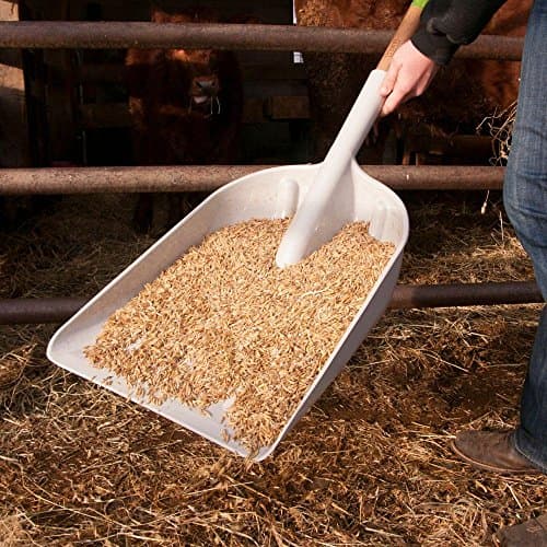AMES 2682700 Poly Scoop with Hardwood Handle and D-Grip, 46-Inch, Brown