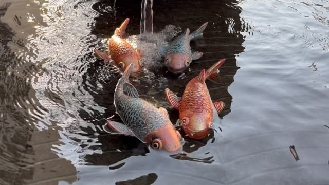 Koi Fish Decor - Set of 2 Antique Koi Fish Garden Statue for Outdoors, Patio and Backyard Decoration