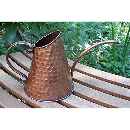 Achla Designs Dainty Hammered Copper Watering Can, 3 Pint