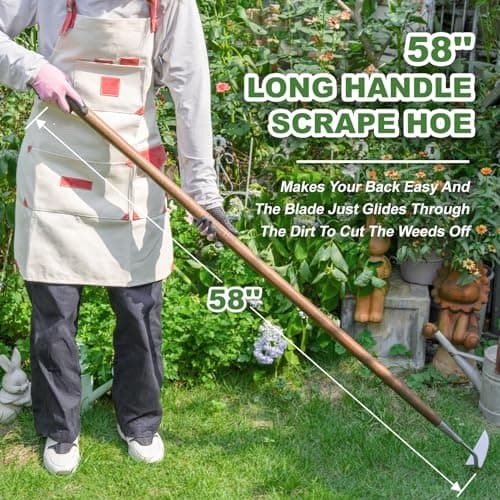 Haliaeetus Sickle Hoe, 58'' Long Handle Japanese Hand Hoe for Standing to Remove Weed, Stainless Steel Scraper Hoe, Bent Angle Weeding Sickle for Fastly Scraping Out Weed on Flower Bed, Between Plants