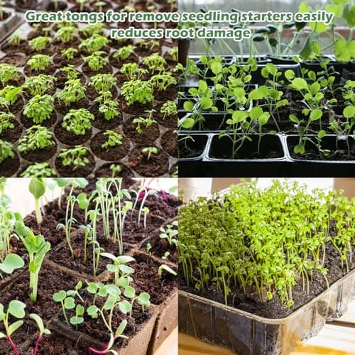 2PCS Seedling Transplant Tongs Stainless Steel Seedling Starters Remove Tongs Seedling Transplanting Tool Seedling Easy Transplanter with Anti-Slip Grasp Tips to Reduce Damage to Roots