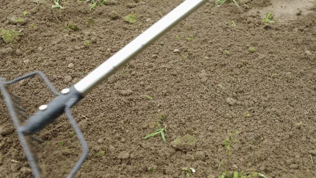 15 Inch Wide Bow Rake, 16 Steel Tines Metal Head Rake Tool with Stainless Steel Handle, Adjustable Long Handle Garden Rake for Loosening Soil Leveling Mulch Gathering Lawns Leaves