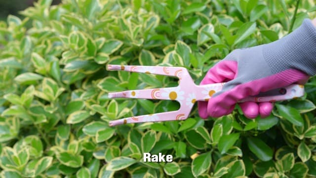WORKPRO Aluminum Garden Tool Set, 4PCS Heavy Duty Hand Garden Tools with Box Include Trowel, Rake, Pruner, Garden Gloves, Garden Gifts