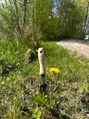 Dewit Rock'n Root Trowel, Garden Tool for Roots and Planting
