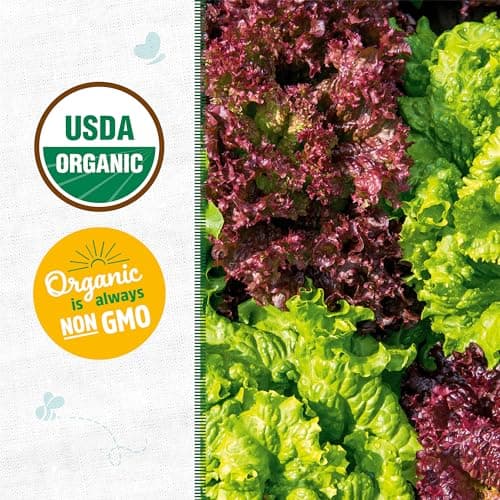 Back to the Roots - 100% Organic Seed Packet - Lettuce 'Gourmet Blend' 420mg