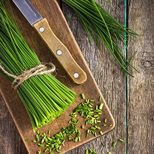 Gaea's Blessing Seeds - Chives Seeds (1000 Seeds) Non-GMO Seeds with Easy to Follow Planting Instructions - Open-Pollinated Heirloom 88% Germination Rate 1.5g (Single Packet)