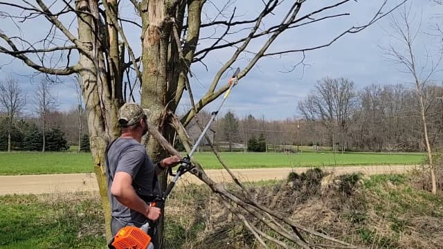 48CC Gas Powered Pole Saws,2-Stroke Gas Pole Saws for Tree Trimming with11.5in Cutting Bar, with Extendable Pole to Height Reachable 16 FT Chainsaw Tree Trimmer