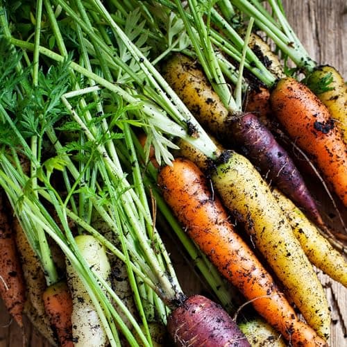 Organic Carrot Seeds (Rainbow Blend) - Approx 500 Seeds - USDA Organic, Non-GMO, Open Pollinated, Heirloom, USA Origin
