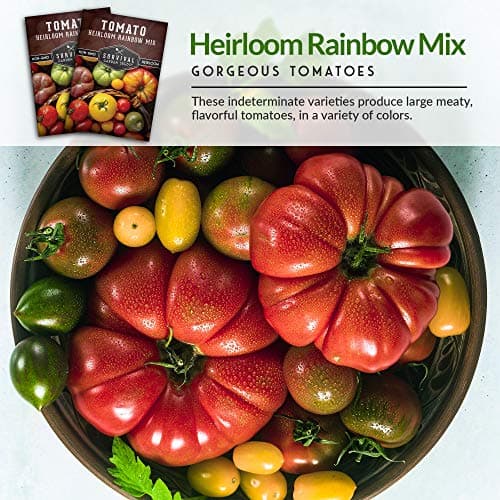 SURVIVAL GARDEN SEEDS Heirloom Rainbow Mix Tomato Seed for Planting - Packet with Instructions to Plant & Grow in Your Home Vegetable Garden - Non-GMO Heirloom Rainbow Tomato Seeds Variety Pack