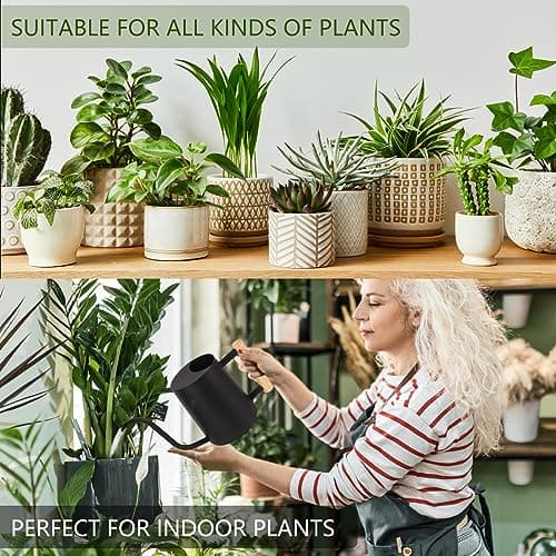 Plant Watering Can,35oz Metal Watering Can,Stainless Steel Watering Can Indoor Plants with Long Curved Spout,Small Watering Can for Indoor Plants,Bonsai Outdoor Garden Modern Decorative(Black)