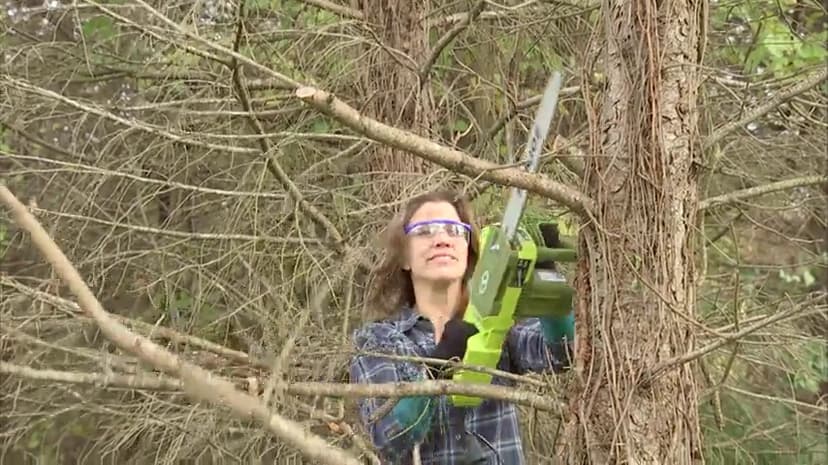 Sun Joe SWJ599E 14-inch 9-Amp Tree Limb Master Electric Handheld Chainsaw with Low-Kickback