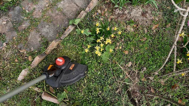Worx Nitro 20V 13" Cordless String Trimmer with Brushless Motor, 3-in-1 Grass Trimmer Edger Mini-Mower, Lightweight Weed Trimmer COMMAND FEED Instant Line Advancement WG173– Battery & Charger Included