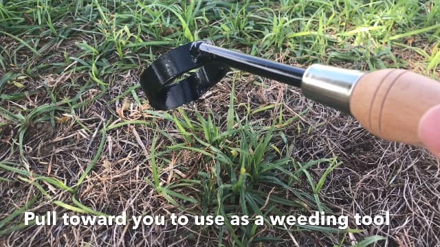 Carrot Design Circular Hoe Hand Garden Weeding Tool