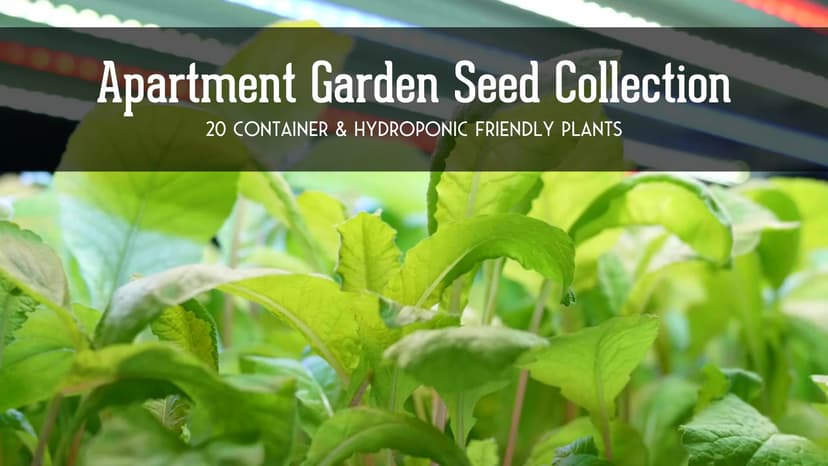 Indoor Garden Vegetables Hydroponic Apartment Garden - Non-GMO Heirloom Vegetable Varieties for Small-Space Patio Garden - Hydroponics-Friendly - Plant Indoors or Outdoors - Survival Garden Seeds