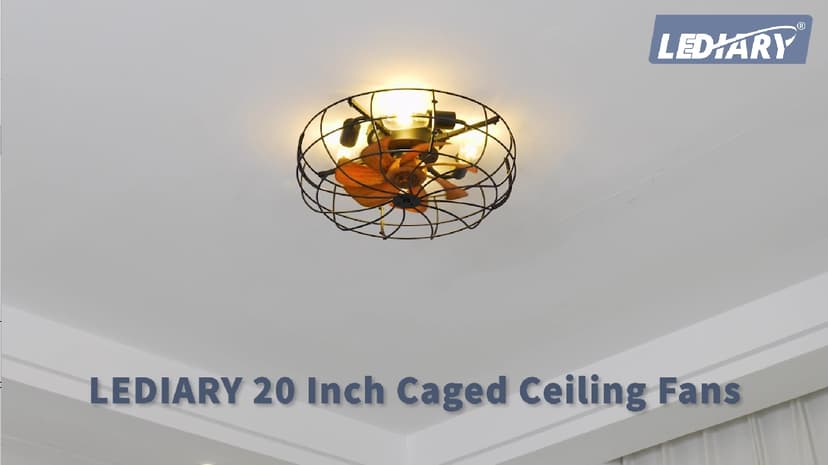 LEDIARY 20" Caged Ceiling Fans with Lights and Remote, Flush Mount Bladeless Ceiling Fan Low Profile, Small Farmhouse Industrial Enclosed Ceiling Fan with Light for Bedroom, Kitchen, Indoor