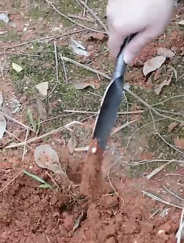 Willow Leaf-Shaped Garden Trowel Tool 12-inch Hand Shovel High-Carbon Steel Material One-Piece Forged Heavy Duty Manual Tool Potting Digging Transplanting Planting Weeding (Grey)