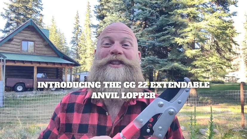 TABOR TOOLS GG22A Telescopic Extendable Anvil Lopper with Compound Action, 27-40 Inch Telescopic Tree Trimmer, Long Handled Branch Cutter with ⌀ 2 Inch Cut Capacity, Chops Thick Branches with Ease.