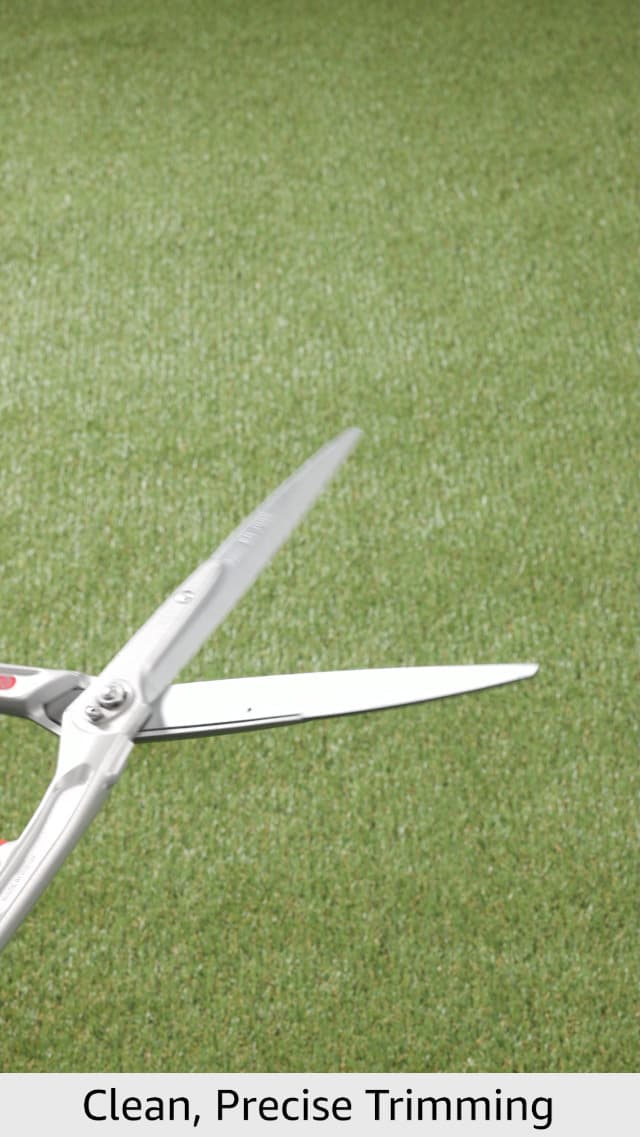 ARS HS-KR1000 Professional Hedge Shears