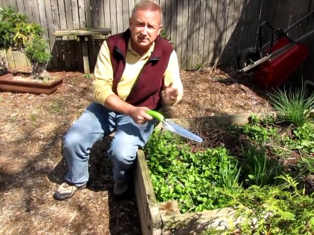 Radius Garden 101 Ergonomic Aluminum Hand Transplanter, Original Green