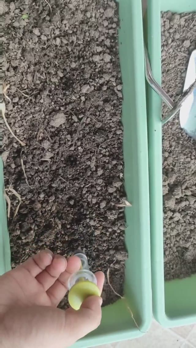 17 Pack Seed Planter Tool, Hand Seeder, Mini Sowing Seed Dispenser Sower, Seedlings Dibber and Widger, Seed Spreader for Planting Vegetables, Flowers