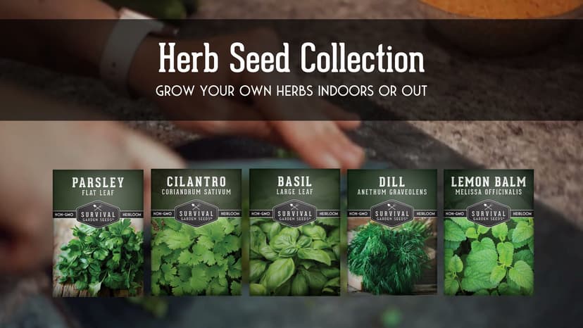 Survival Garden Seeds Herb Collection Seed Vault - Parsley, Cilantro, Basil, Lemon Balm, Dill - Non-GMO Heirloom Survival Garden Seeds for Planting - Grow Herbs Indoors Year Round