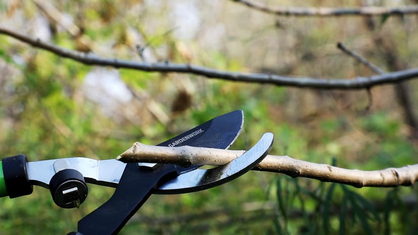 Loppers, Heavy-Duty Branch Trimmer with Sk5 Teflon Blades, Suitable for Tree Branches and Shrubs
