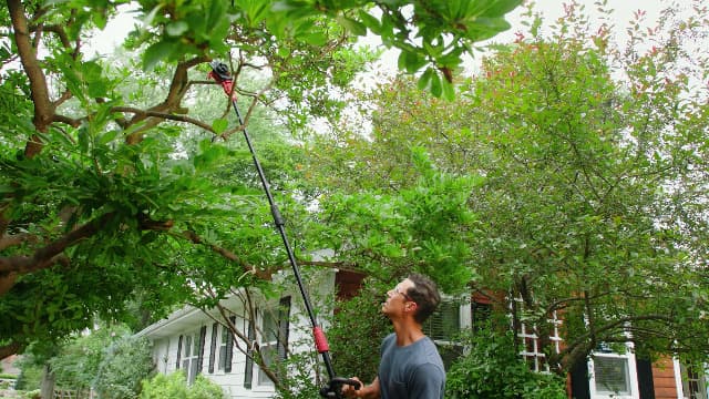 SKIL PWR CORE 40 Brushless 40V 10'' Pole Saw Kit with Over 9ft. Telescoping Shaft & Angled Head, Includes 2.5Ah Battery and Auto PWR Jump Charger - PS4561C-10