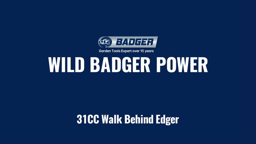 Sidewalk Edger Lawn Tool Gas 31cc WB31CCED, Blue