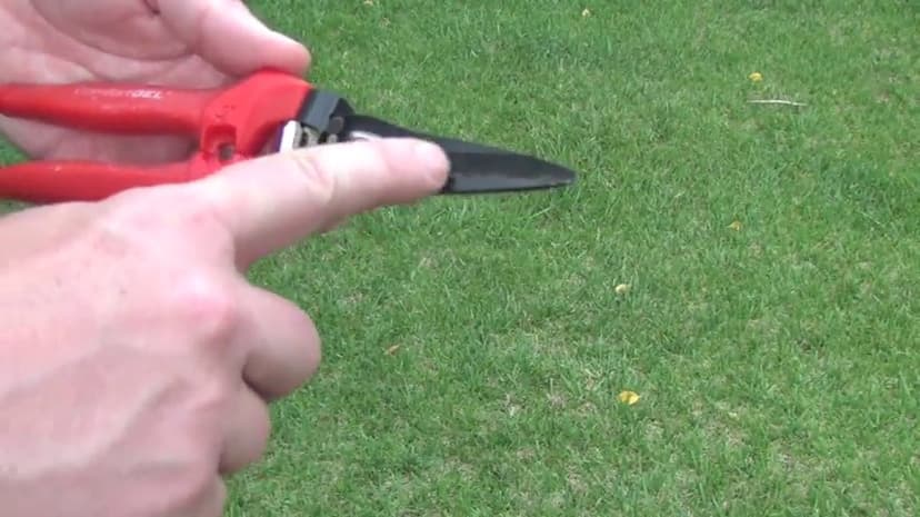 Corona FS 3204 ComfortGEL Snips