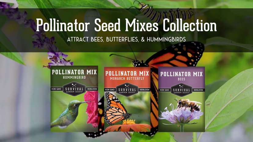 Survival Garden Seeds Pollinator Flower Collection - 3 Seed Packs for Planting & Attracting Butterflies, Bees, Hummingbirds - Nectar & Pollen Rich Perennial & Annual Wildflowers - Non-GMO Heirloom