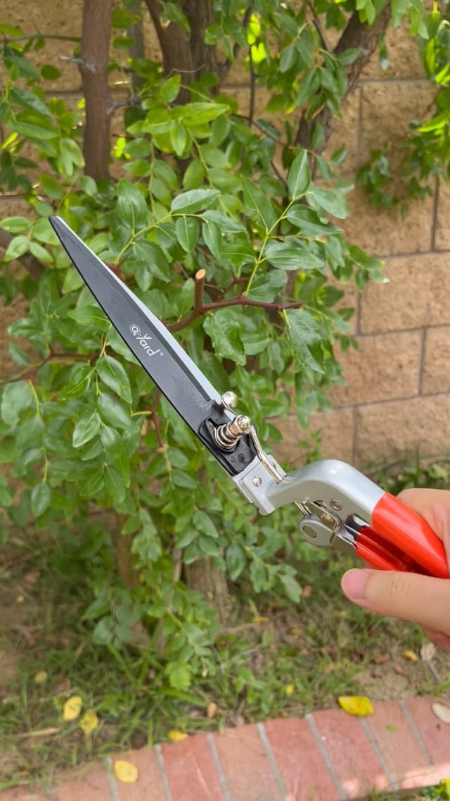Q-yard QY-741F Flower Bed and Grass Shear - Extra Sharp Garden Hand Pruners, Easier Cutting, Comfortable Ergonomic, Less Effort - Gardening Scissors for Men & Women , Orange