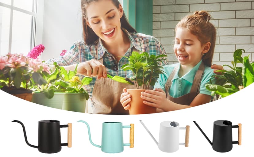 Plant Watering Can,35oz Metal Watering Can,Stainless Steel Watering Can Indoor Plants with Long Curved Spout,Small Watering Can for Indoor Plants,Bonsai Outdoor Garden Modern Decorative(Black)