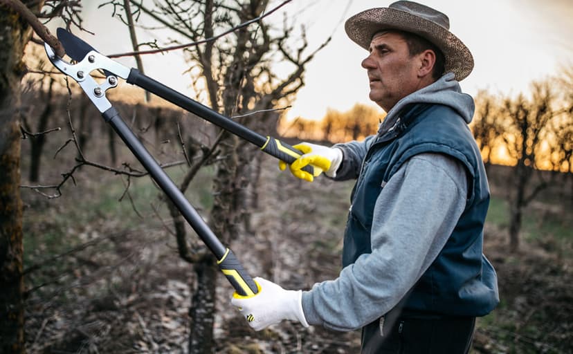 JARDINEER Garden Loppers Pruners Set, Include 30" Anvil Loppers for Tree Trimming Heavy Duty with 2" Cutting Capacity, Bypass Pruning Shear and Spare Loppers Blade
