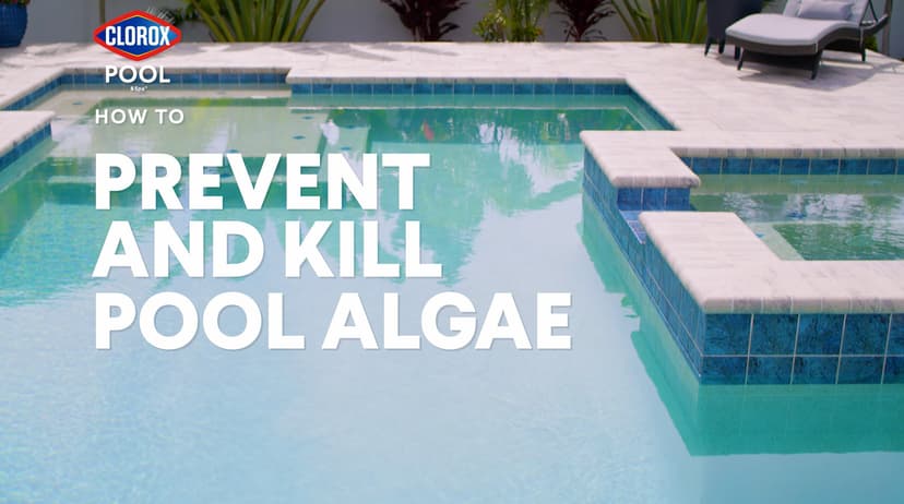 Clorox® Pool&Spa™ Swimming Pool Algaecide, Prevents and Treats Pool Algae, Non-Foaming, 1 Quart (Pack of 1)