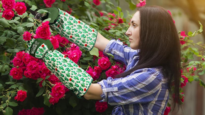 Schwer Gardening Gloves for Women, Rose Pruning Gloves with Forearm Protection, Breathable and Comfortable Thorn Proof Garden Glove with Touch Screen for Yard & Outdoor Work (Medium 1 Pair)