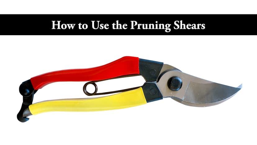 SUIZAN Bypass Pruning Shears 8” - Professional Japanese Hand Pruners Garden Scissors Gardening Tools