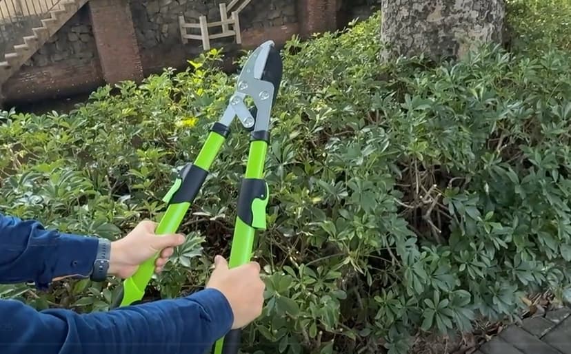 27-41" Telescopic Loppers for Tree Trimming, Heavy Duty Tree Cutter with Ergonomically Designed Handle, Extendable Branch Trimmer for Garden, Farm, Sharp Bypass Blades for Easy Cutting